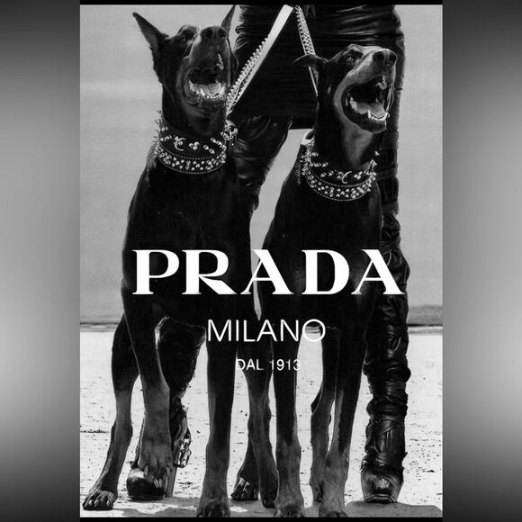 CoCo fashion Car Designer Wall Art Poster Print Picture Gift  A3 A4 Bla… - Picture 1 of 13